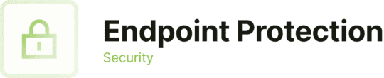 Endpoint protection
